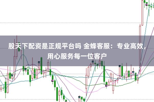 股天下配资是正规平台吗 金蜂客服：专业高效，用心服务每一位客户