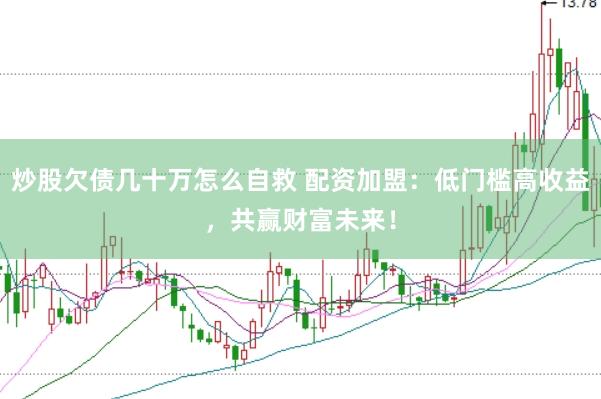 炒股欠债几十万怎么自救 配资加盟：低门槛高收益，共赢财富未来！