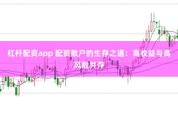 杠杆配资app 配资散户的生存之道：高收益与高风险并存