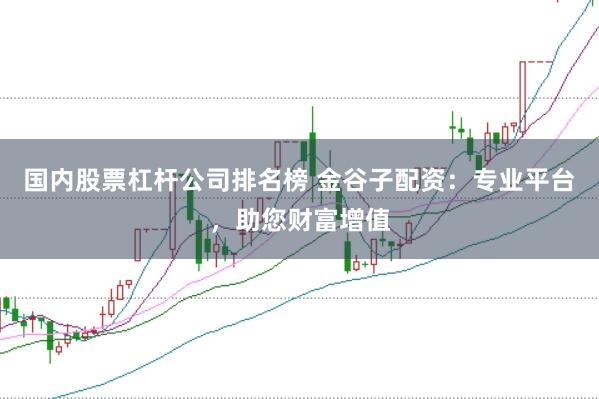 国内股票杠杆公司排名榜 金谷子配资：专业平台，助您财富增值