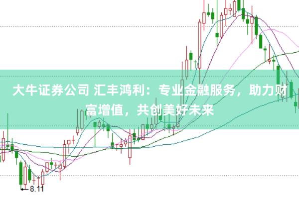 大牛证券公司 汇丰鸿利：专业金融服务，助力财富增值，共创美好未来