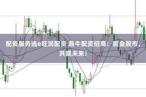 配资服务选e旺润配资 鼎牛配资招商：掘金股市，共赢未来！