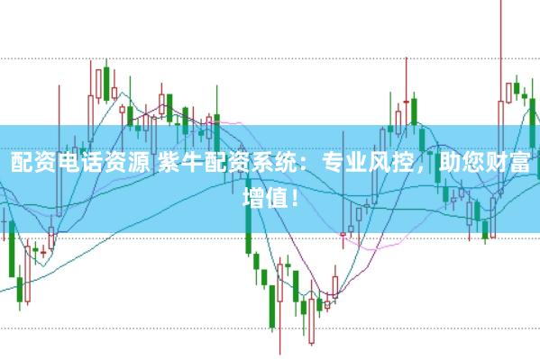 配资电话资源 紫牛配资系统：专业风控，助您财富增值！