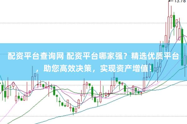 配资平台查询网 配资平台哪家强？精选优质平台，助您高效决策，实现资产增值！