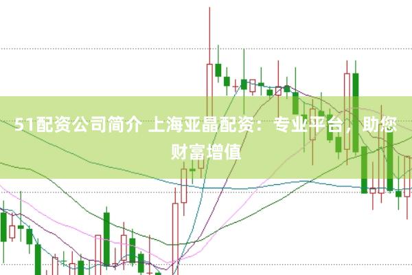 51配资公司简介 上海亚晶配资：专业平台，助您财富增值