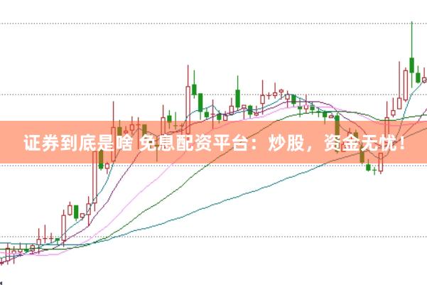 证券到底是啥 免息配资平台：炒股，资金无忧！