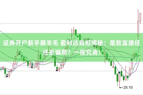证券开户新手薅羊毛 盈利达真相揭秘：是致富捷径还是骗局？一探究竟！