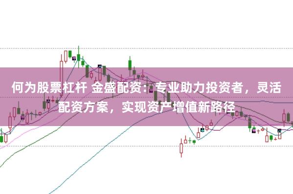 何为股票杠杆 金盛配资:专业助力投资者,灵活配资方案,实现资产增值新路径