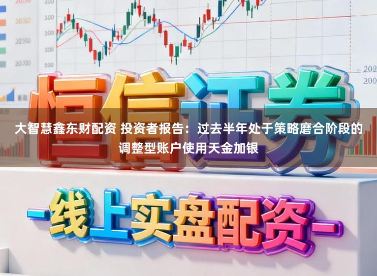 大智慧鑫东财配资 投资者报告：过去半年处于策略磨合阶段的调整型账户使用天金加银