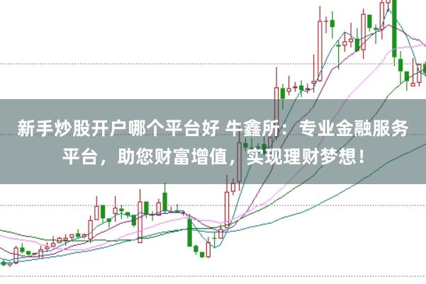 新手炒股开户哪个平台好 牛鑫所：专业金融服务平台，助您财富增值，实现理财梦想！